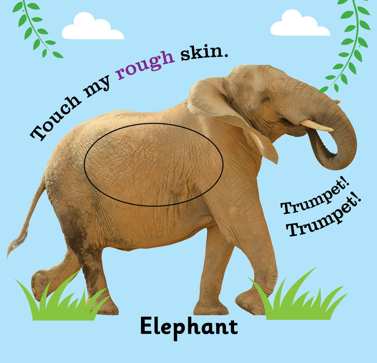 Image 8 of Jolly Kids Touch and Feel Board Books for Little Ones| Ages 1-4 Years| Set of 4| ABC| Numbers| My First Words| Animals