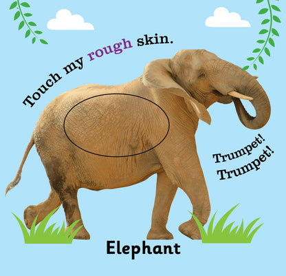 Image 8 of Jolly Kids Touch and Feel Board Books for Little Ones| Ages 1-4 Years| Set of 4| ABC| Numbers| My First Words| Animals