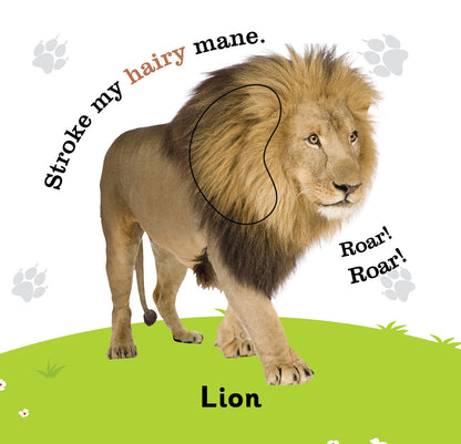 https://cdn.shopify.com/s/files/1/1857/6931/products/Jolly-Kids-Touch-and-Feel-Animals-5.jpg?v=1671515150