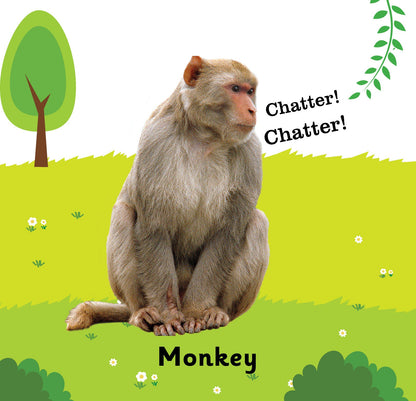 https://cdn.shopify.com/s/files/1/1857/6931/products/Jolly-Kids-Touch-and-Feel-Animals-6.jpg?v=1671515150