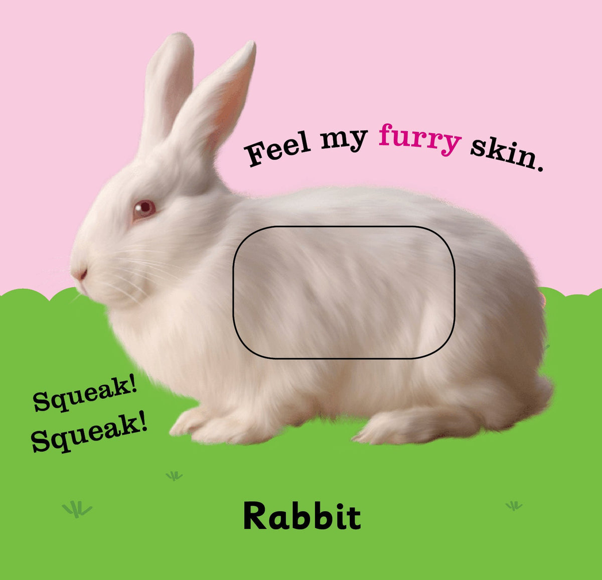 https://cdn.shopify.com/s/files/1/1857/6931/products/Jolly-Kids-Touch-and-Feel-Animals-7.jpg?v=1671515150