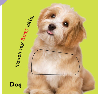 https://cdn.shopify.com/s/files/1/1857/6931/products/Jolly-Kids-Touch-and-Feel-My-First-Words-7.jpg?v=1682068282