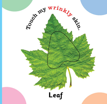 https://cdn.shopify.com/s/files/1/1857/6931/products/Jolly-Kids-Touch-and-Feel-My-First-Words-9.jpg?v=1682068282