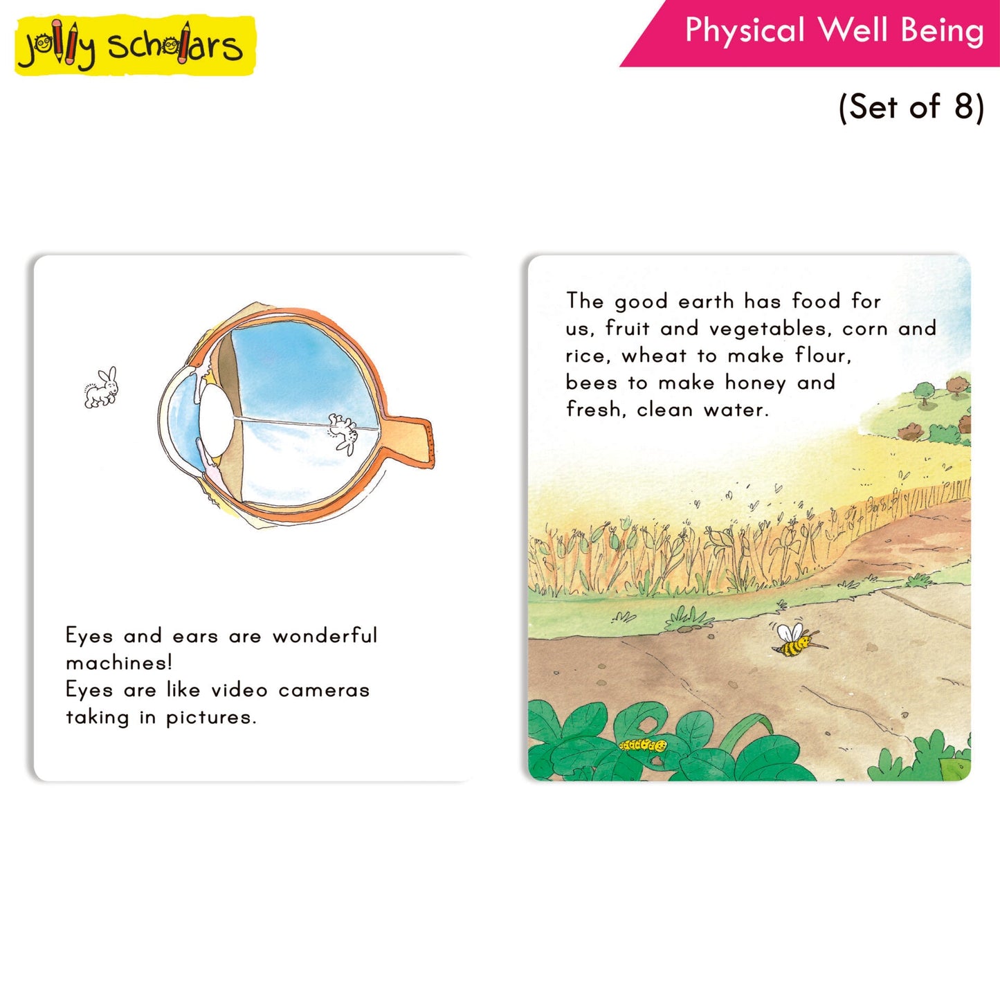 https://cdn.shopify.com/s/files/1/1857/6931/products/Jolly-Scholars-Physical-Well-Being-Set-of-8-3.jpg?v=1671443533