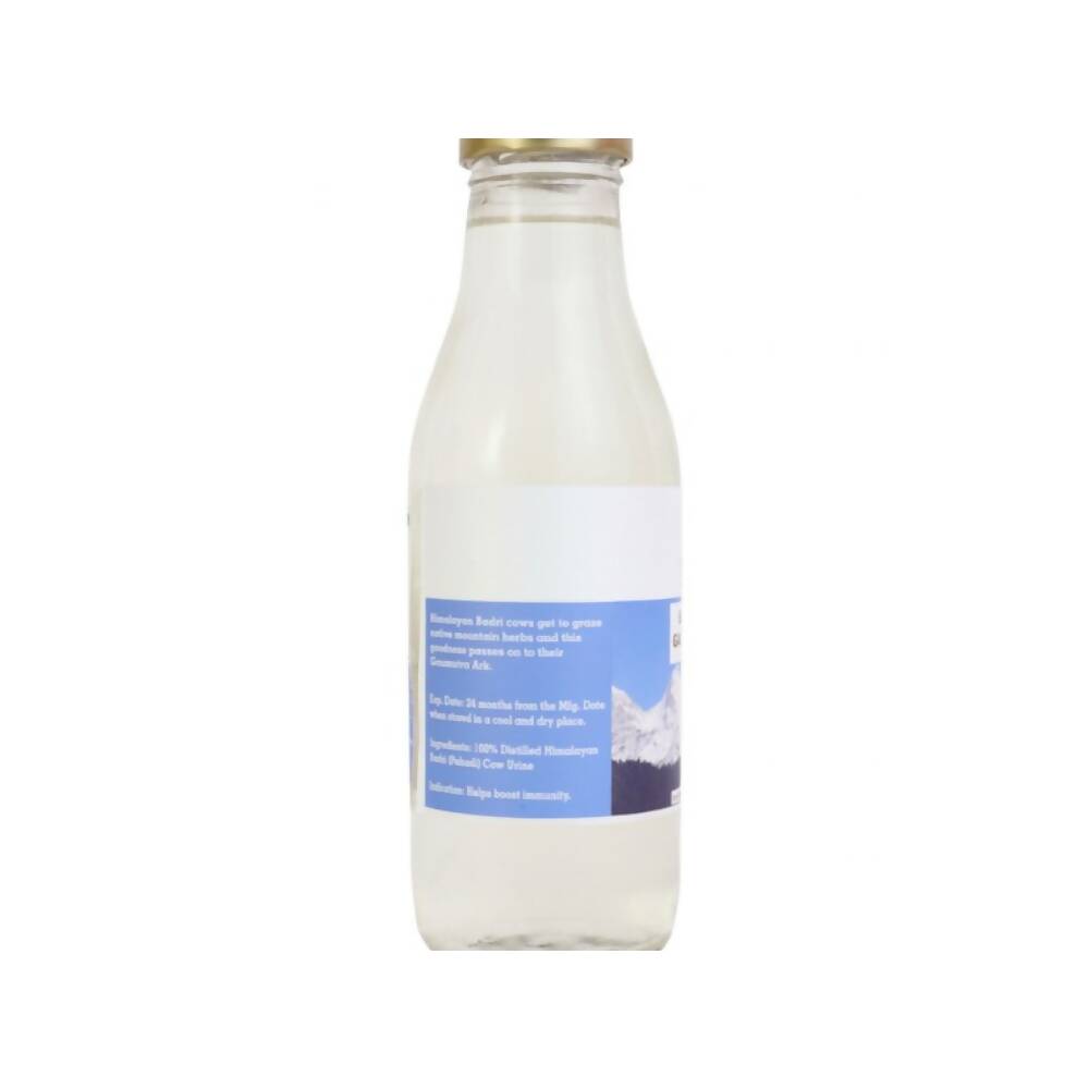 https://cdn.shopify.com/s/files/1/1857/6931/products/JompRtevH4.jpg?v=1705744745