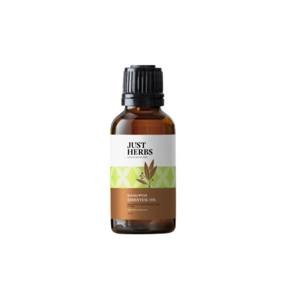 https://cdn.shopify.com/s/files/1/1857/6931/files/JpuaqJs3vQ.png?v=1739424067