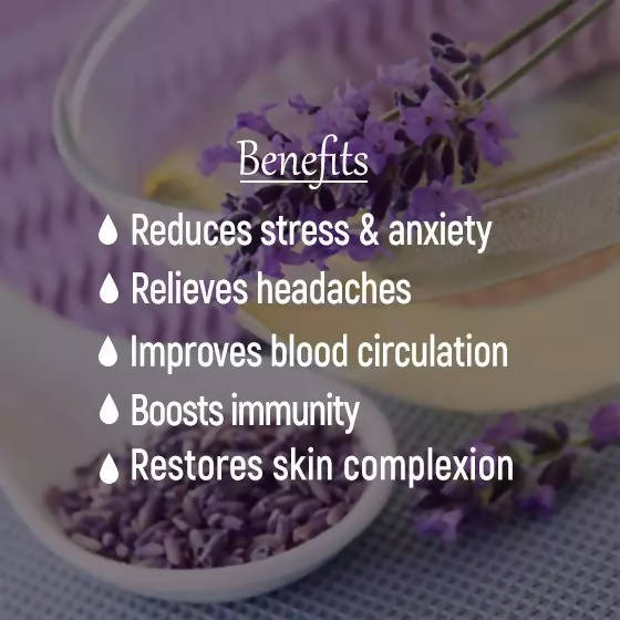 https://cdn.shopify.com/s/files/1/1857/6931/products/JsNaoskAYF.jpg?v=1633055571