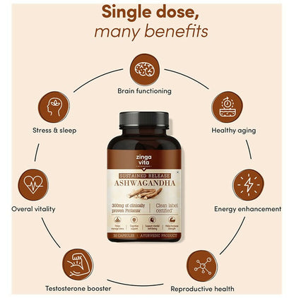 https://cdn.shopify.com/s/files/1/1857/6931/files/JsjBxqW4VF.jpg?v=1711105403