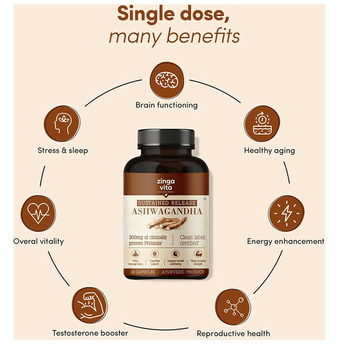 https://cdn.shopify.com/s/files/1/1857/6931/files/JsjBxqW4VF.jpg?v=1711105403