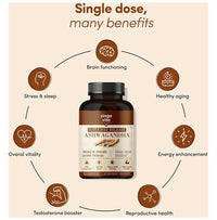 https://cdn.shopify.com/s/files/1/1857/6931/files/JsjBxqW4VF.jpg?v=1711105403