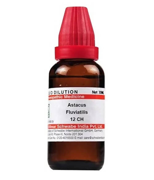 https://cdn.shopify.com/s/files/1/1857/6931/products/JtwmGOOerK.jpg?v=1640930109