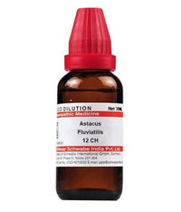 https://cdn.shopify.com/s/files/1/1857/6931/products/JtwmGOOerK.jpg?v=1640930109