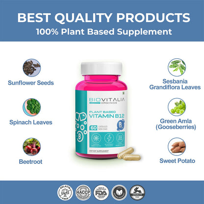 https://cdn.shopify.com/s/files/1/1857/6931/files/JuVdVcUJKi.jpg?v=1727416807