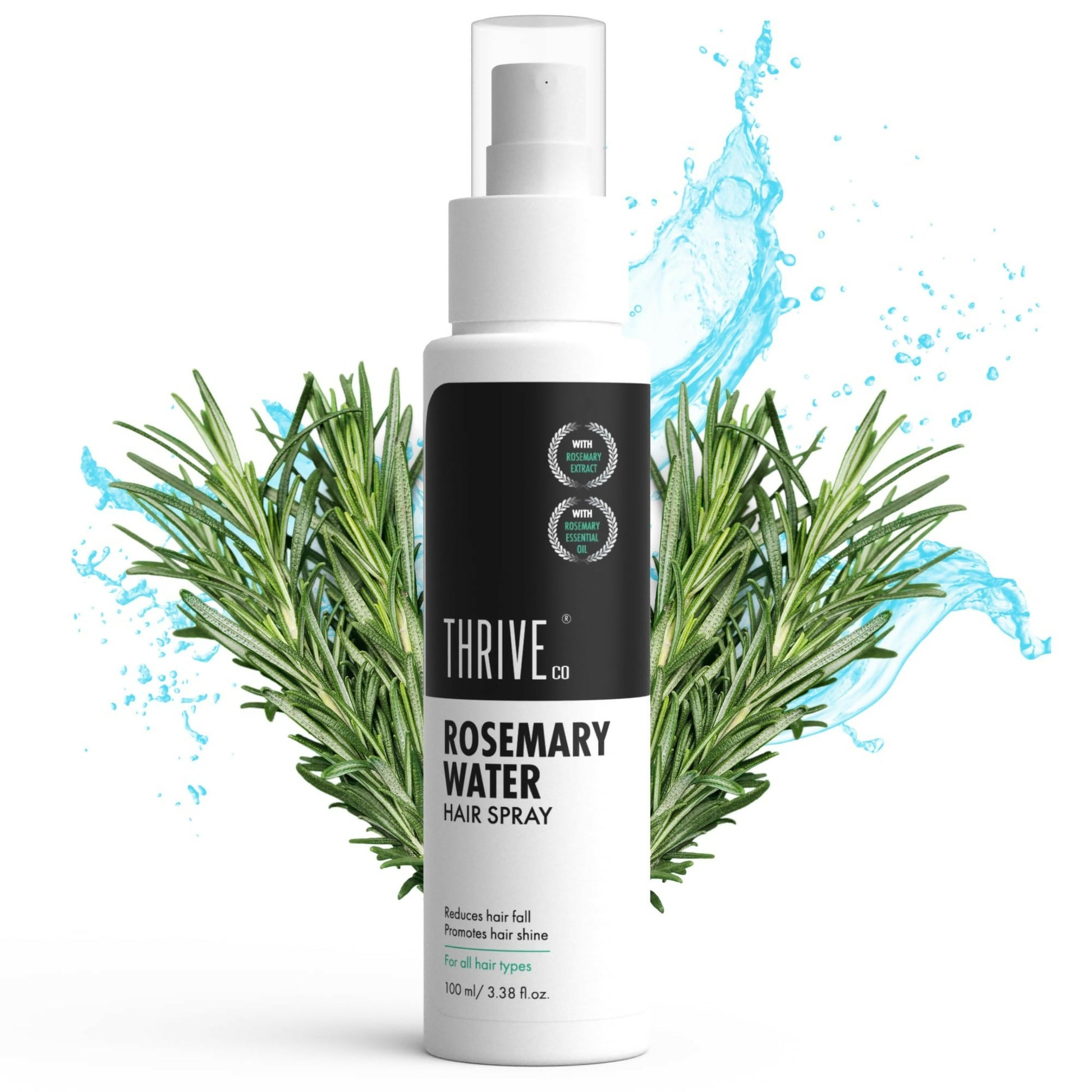https://cdn.shopify.com/s/files/1/1857/6931/files/JvcpuXYkzd.jpg?v=1723469133