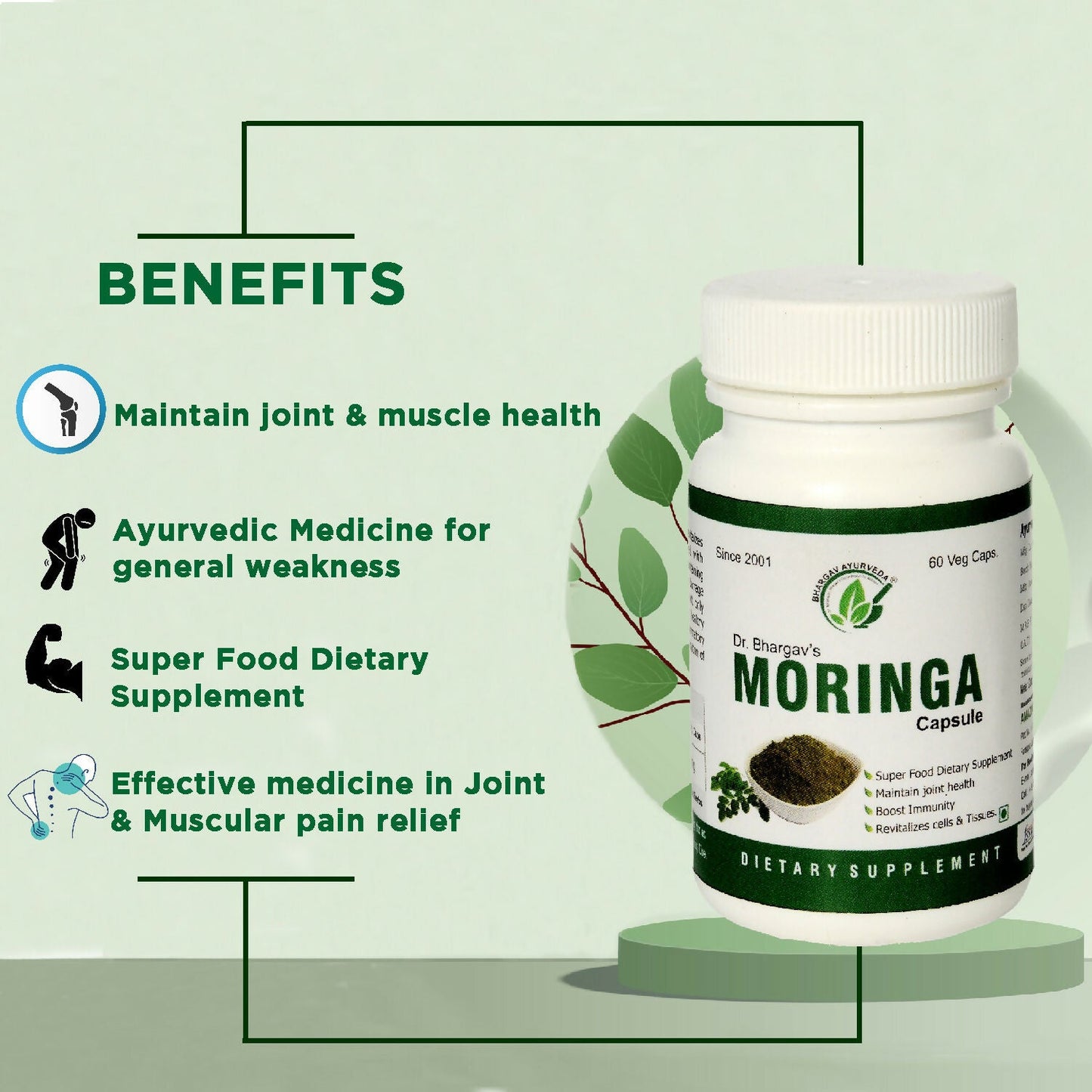 https://cdn.shopify.com/s/files/1/1857/6931/files/Jx8qYriu9X.jpg?v=1735544327