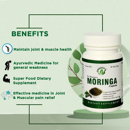 https://cdn.shopify.com/s/files/1/1857/6931/files/Jx8qYriu9X.jpg?v=1735544327