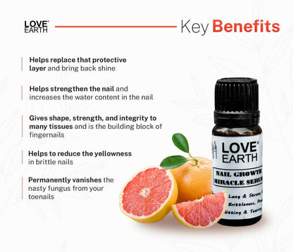 https://cdn.shopify.com/s/files/1/1857/6931/products/JxSbxTS4hw.jpg?v=1713165367