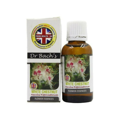 https://cdn.shopify.com/s/files/1/1857/6931/products/JyA9TNMz41.jpg?v=1759373972
