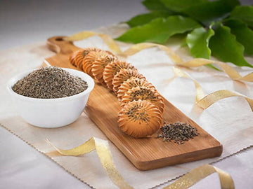 https://cdn.shopify.com/s/files/1/1857/6931/products/JywAOsL8ST.jpg?v=1762286308