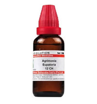 https://cdn.shopify.com/s/files/1/1857/6931/products/JzrbRDU7vO.jpg?v=1641549071