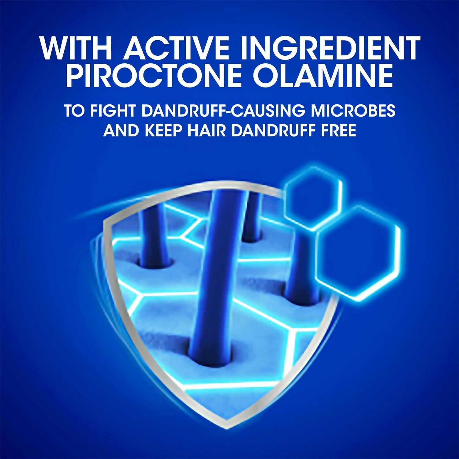 https://cdn.shopify.com/s/files/1/1857/6931/files/K0D84Taeo9.jpg?v=1732278776