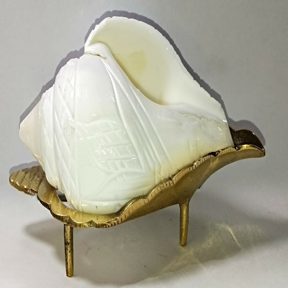 https://cdn.shopify.com/s/files/1/1857/6931/files/K0ERFb8C1O.jpg?v=1713964437