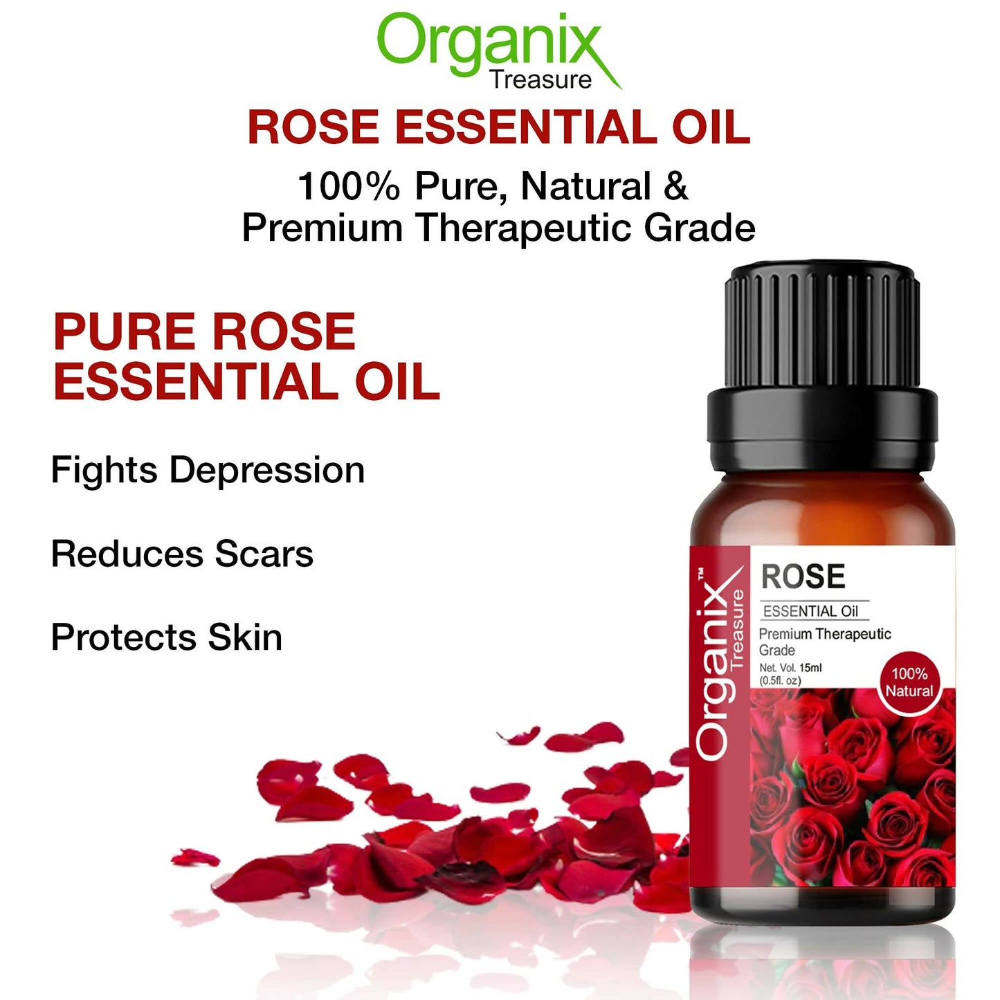 https://cdn.shopify.com/s/files/1/1857/6931/products/K20yA3SEhL.jpg?v=1682750814