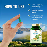 https://cdn.shopify.com/s/files/1/1857/6931/products/K34D08IwAK.jpg?v=1683805983