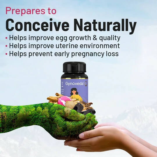 https://cdn.shopify.com/s/files/1/1857/6931/products/K4Oc3rs9Ba.jpg?v=1674622927