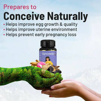 https://cdn.shopify.com/s/files/1/1857/6931/products/K4Oc3rs9Ba.jpg?v=1674622927