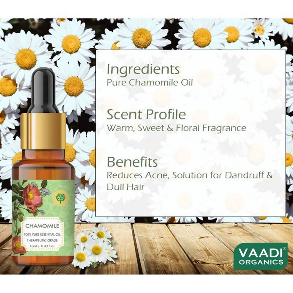https://cdn.shopify.com/s/files/1/1857/6931/products/K6jslpJE7G.jpg?v=1618540045