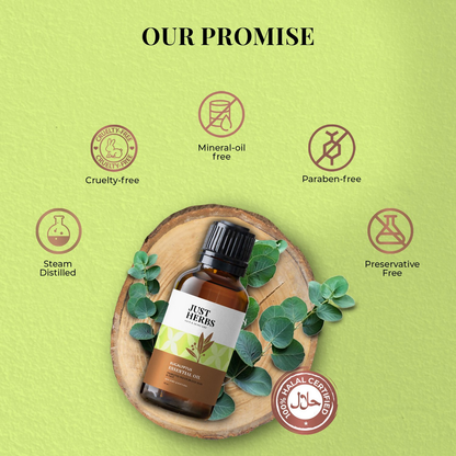 https://cdn.shopify.com/s/files/1/1857/6931/files/K8xbEFtWHX.png?v=1752759298