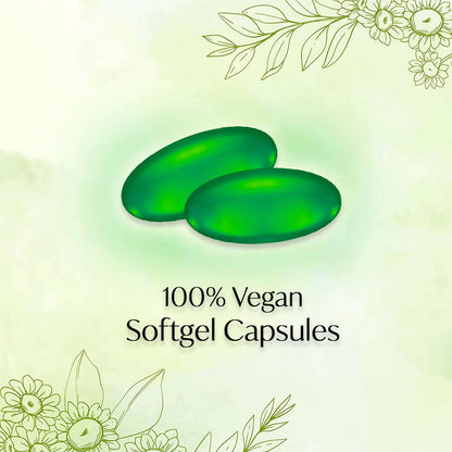 https://cdn.shopify.com/s/files/1/1857/6931/products/KBKNNUBtEe.jpg?v=1694173152