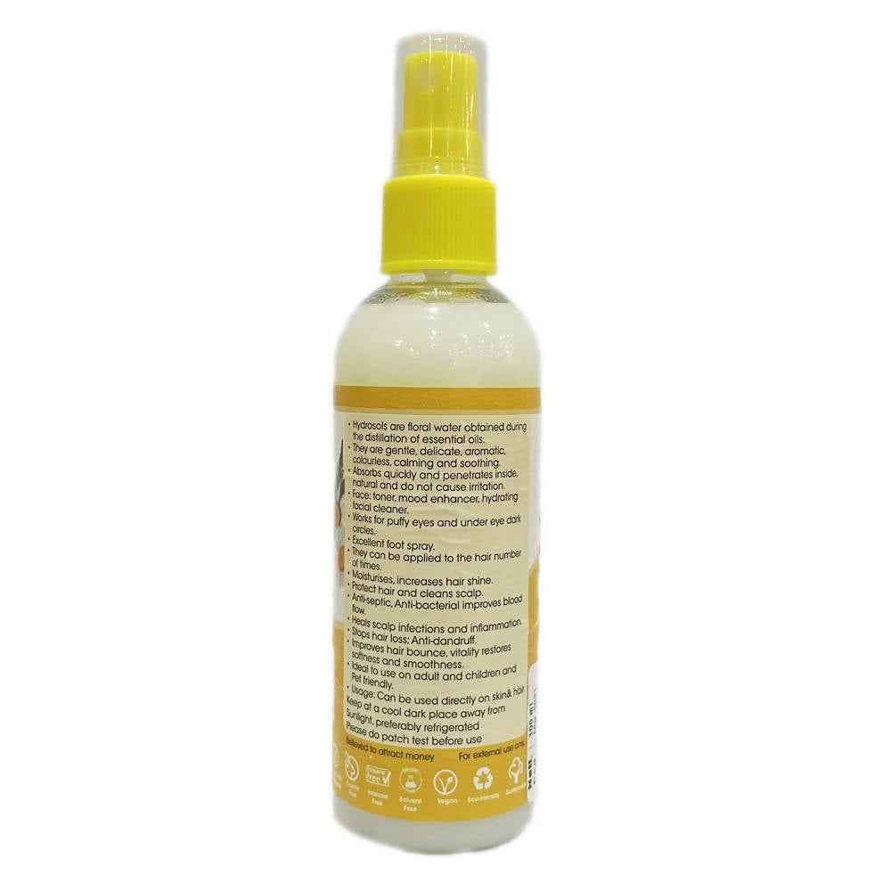 https://cdn.shopify.com/s/files/1/1857/6931/products/KCTBQlqlaq.jpg?v=1643890728