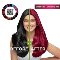 https://cdn.shopify.com/s/files/1/1857/6931/files/KCXTLVuWV0.png?v=1727682520