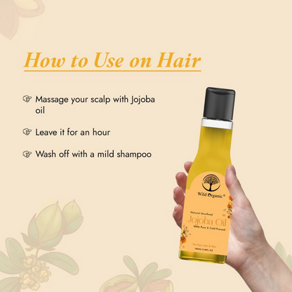 https://cdn.shopify.com/s/files/1/1857/6931/files/KCnkOCFoNB.png?v=1729776513