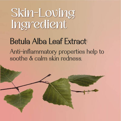 https://cdn.shopify.com/s/files/1/1857/6931/products/KEPhBVwlWD.jpg?v=1709360455