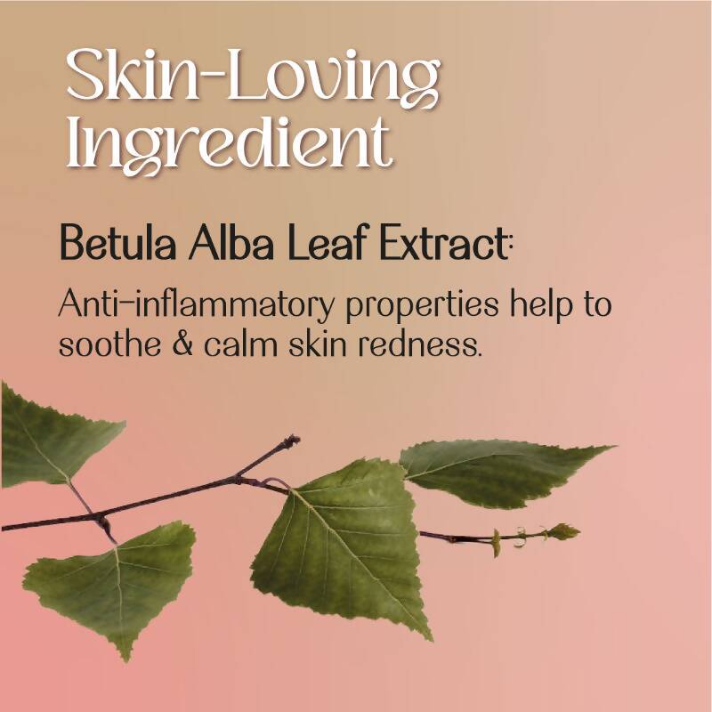 https://cdn.shopify.com/s/files/1/1857/6931/products/KEPhBVwlWD.jpg?v=1709360455