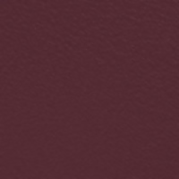 https://cdn.shopify.com/s/files/1/1857/6931/files/KGmjoEpDvR.png?v=1738232893