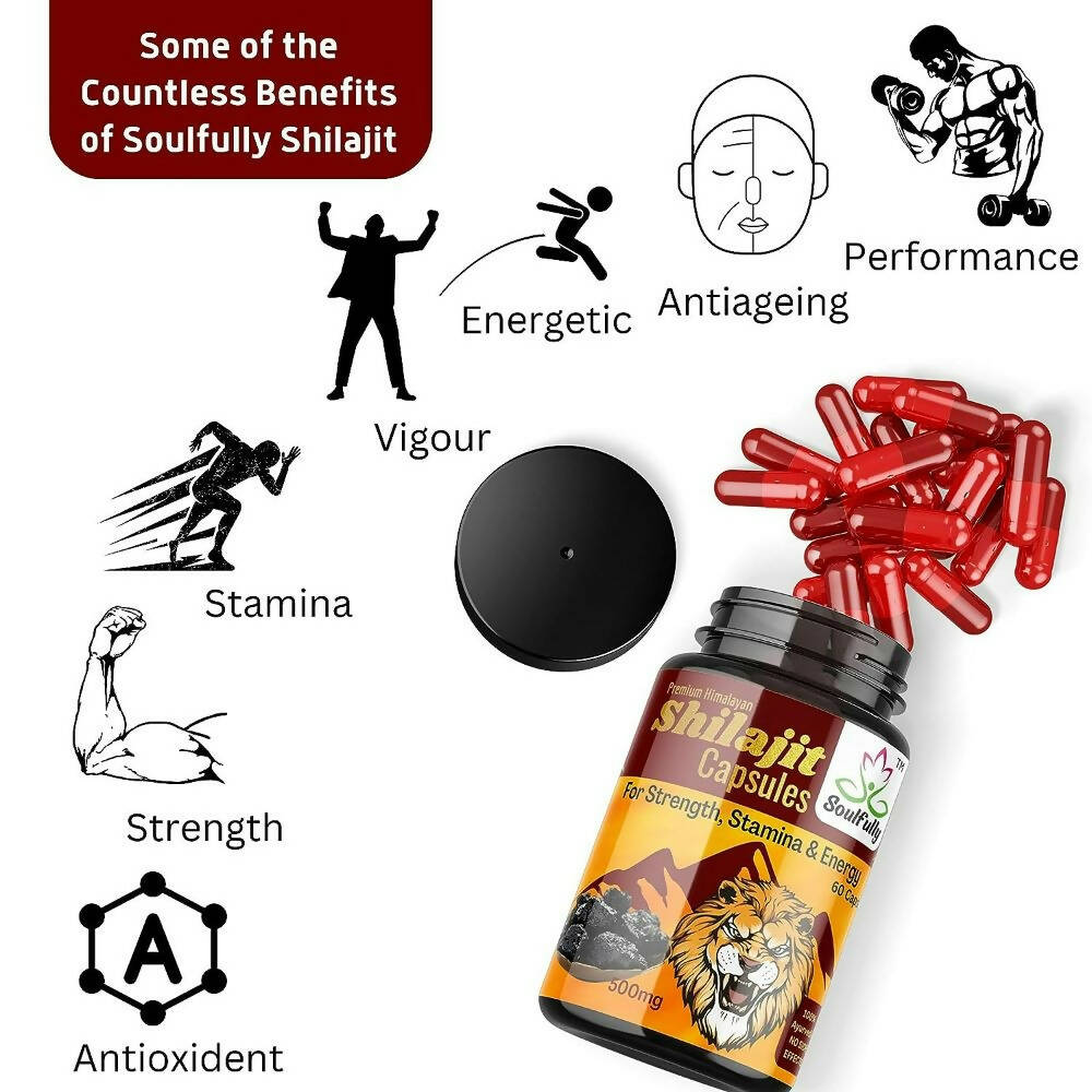https://cdn.shopify.com/s/files/1/1857/6931/products/KIJZsasw1K.jpg?v=1693901204