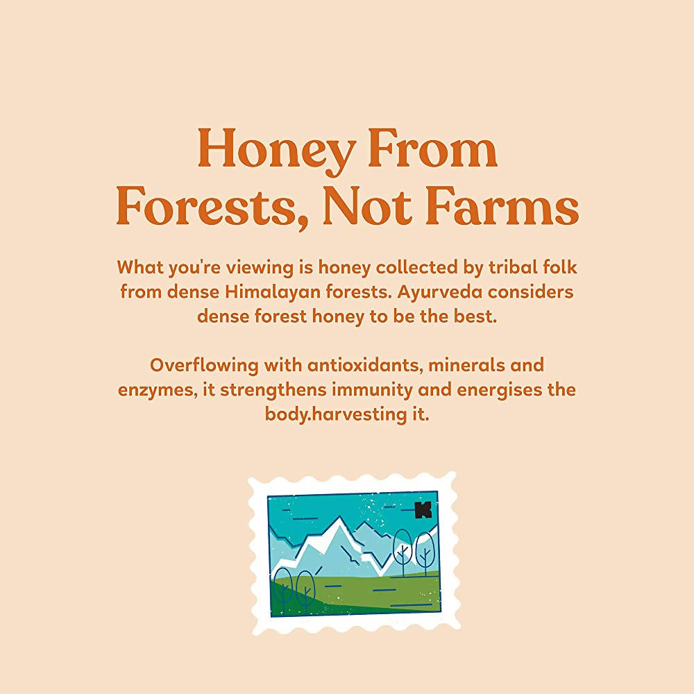 https://cdn.shopify.com/s/files/1/1857/6931/products/KJHjgOnyMj.jpg?v=1639477346