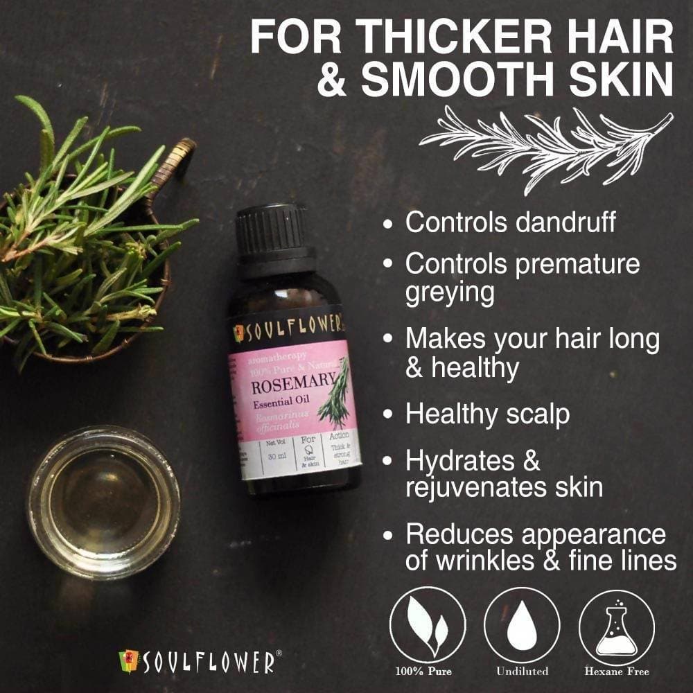 https://cdn.shopify.com/s/files/1/1857/6931/products/KM5iiERjx8.jpg?v=1614911243