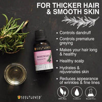 https://cdn.shopify.com/s/files/1/1857/6931/products/KM5iiERjx8.jpg?v=1614911243