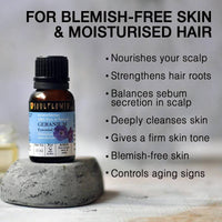 https://cdn.shopify.com/s/files/1/1857/6931/products/KMd1mEaUeF.jpg?v=1614911238