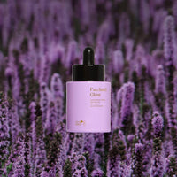 https://cdn.shopify.com/s/files/1/1857/6931/products/KN1INrv1sW.jpg?v=1737558131