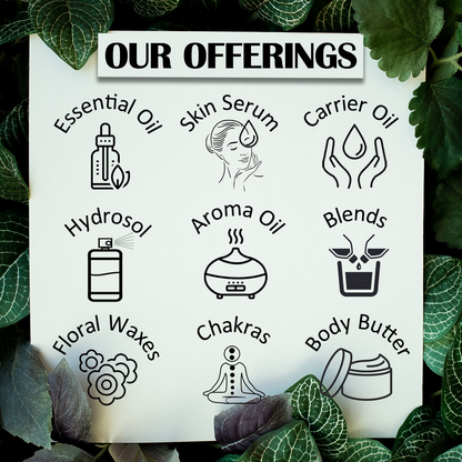 https://cdn.shopify.com/s/files/1/1857/6931/files/KTT5rfvVc9.png?v=1739423481