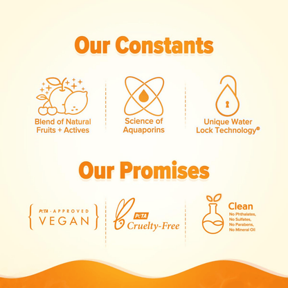 https://cdn.shopify.com/s/files/1/1857/6931/files/KUL1hdtTex-249274.png?v=1736148857