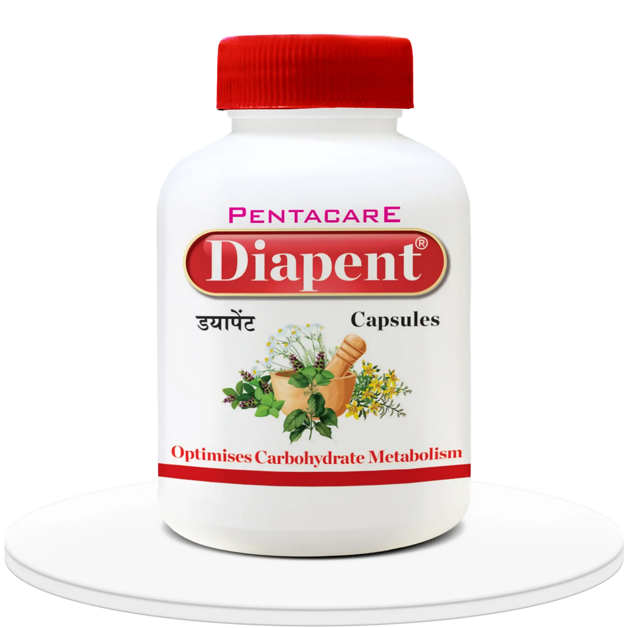 https://cdn.shopify.com/s/files/1/1857/6931/files/KUNLJrX2el.png?v=1724746138