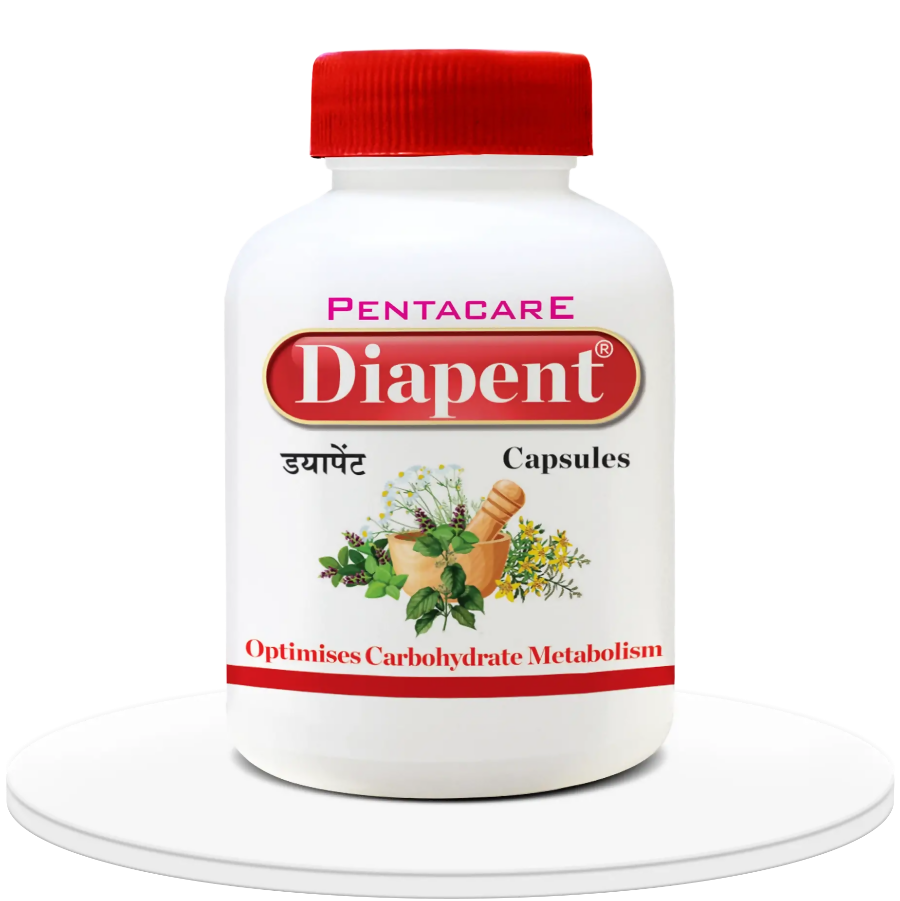 https://cdn.shopify.com/s/files/1/1857/6931/files/KUNLJrX2el.png?v=1724746138
