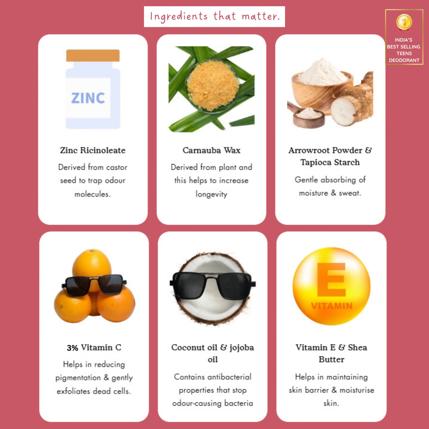 https://cdn.shopify.com/s/files/1/1857/6931/files/KVGoHbZfz0.png?v=1765264969